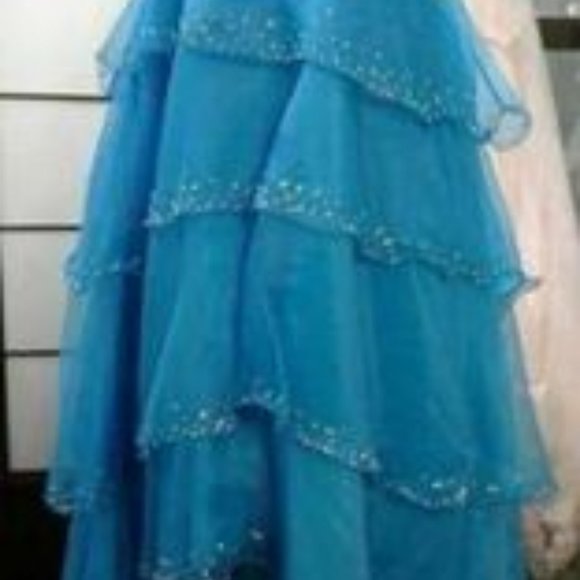 Tiffany Design Gown - Picture 3 of 8